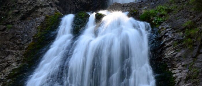 12331600075 ef71dc2ed3 o